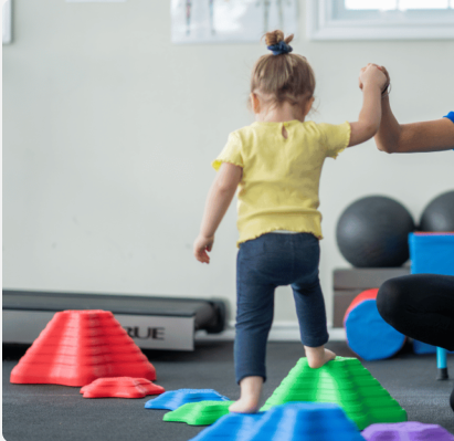 Fisioterapia Motora
